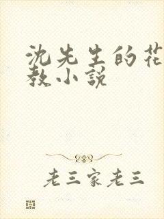 沈先生的花式调教小说