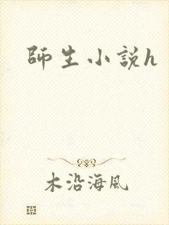 师生小说h封面
