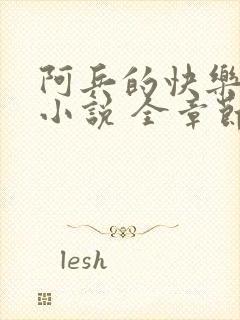 阿兵的快乐生活小说 全章节阅读免费封面