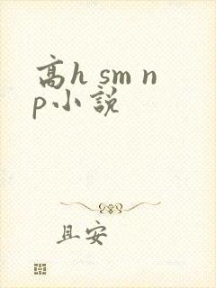 高h sm np小说
