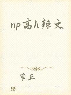np高h辣文