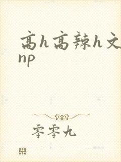 高h高辣h文乱np