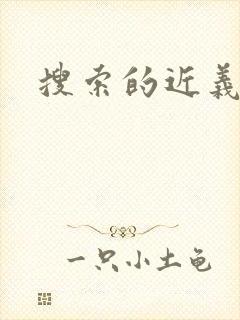 搜索的近义词封面