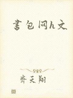书包网h文