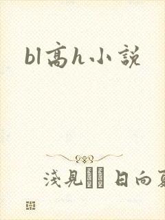 bl高h小说