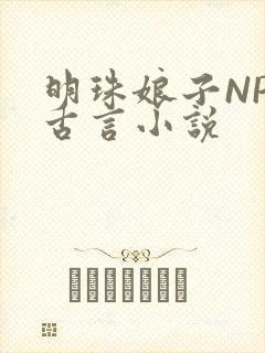 明珠娘子NPC古言小说
