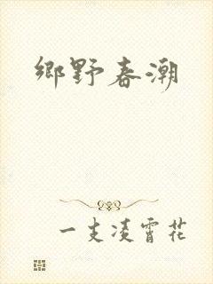 乡野春潮封面