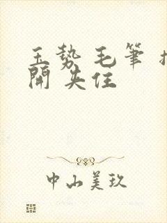 玉势 毛笔 撑开 夹住封面