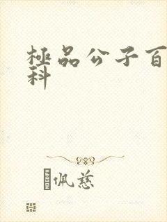 极品公子百度百科