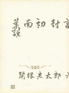 叶南初 封言小说