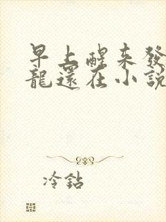 早上醒来发现巨龙还在小说