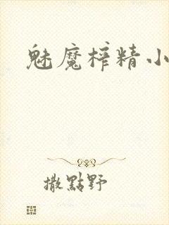 魅魔榨精小说封面