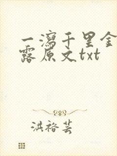 一泻千里金银花露原文txt封面