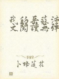 我的岳苏沛真全文阅读无弹窗笔趣阁