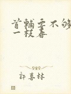 首辅要不够po一枝春