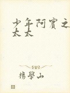 少年阿宾之房东太太