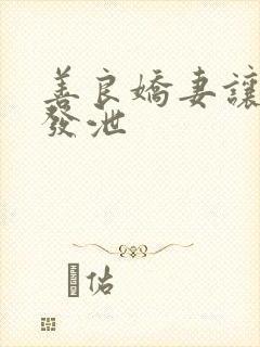 善良娇妻让老丁发泄封面