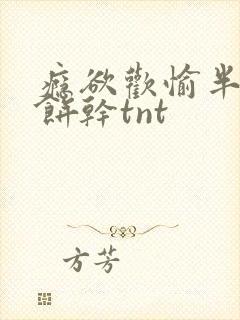 瘾欲欢愉半块小饼干tnt