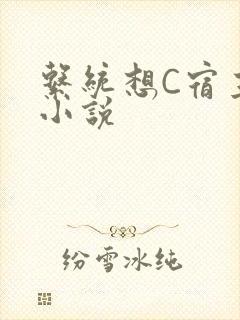 系统想C宿主的小说