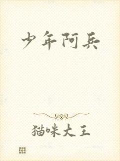 少年阿兵