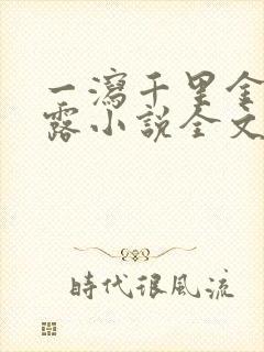 一泻千里金银花露小说全文免费阅读封面