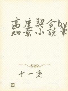 高度契合by洛知意小说笔趣阁无弹窗封面