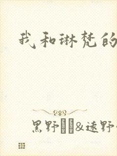 我和琳梵的故事