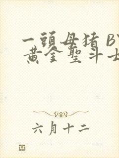 一头母猪 BY 黄金圣斗士