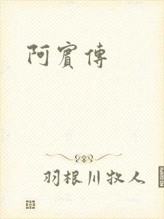 阿宾传