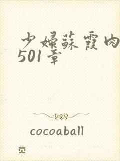 少妇苏霞肉欲第501章封面