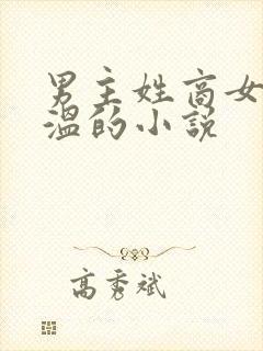 男主姓商女主姓温的小说封面