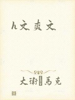 h文爽文
