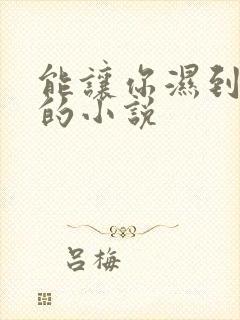 能让你湿到不行的小说