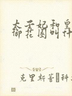 太子妃和皇帝在御花园叫什么小说封面