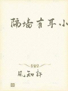 隔墙有耳小说封面