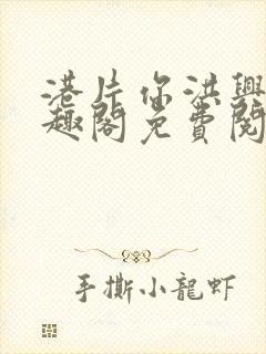 港片你洪兴仔笔趣阁免费阅读全文封面