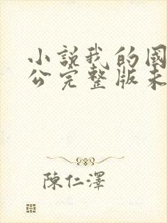 小说我的国民老公完整版未删减小说