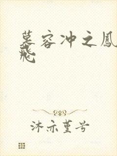 慕容冲之凤凰于飞