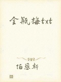 金瓶梅txt封面
