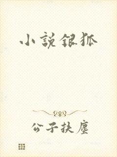 小说银狐