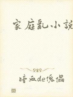 家庭乱小说