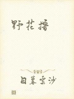 野花撸