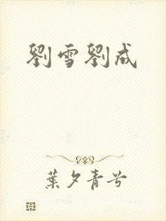 刘雪刘成封面