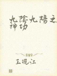 九阴九阳之阴阳神功