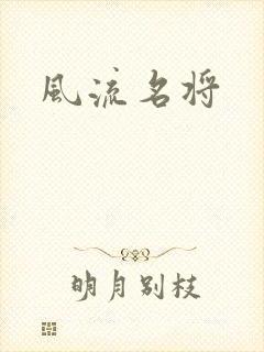 风流名将封面