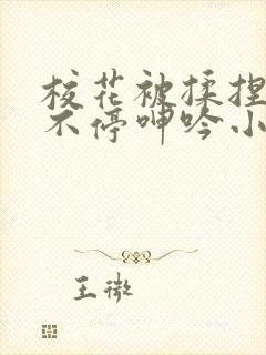 校花被揉捏两乳不停呻吟小说