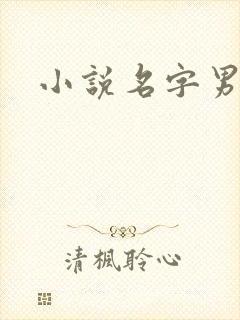 小说名字男生