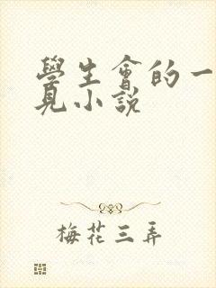 学生会的一己之见小说封面