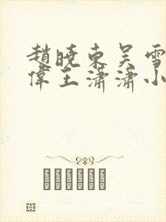 赵晓东吴雪晴郑伟王潇潇小说