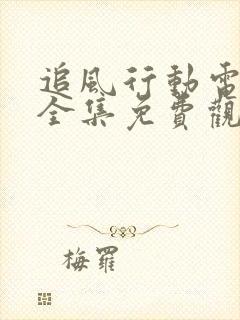 追风行动电视剧全集免费观看封面